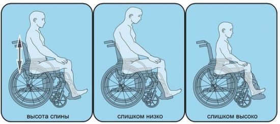 Выбор высоты спинки в инвалидной коляске
